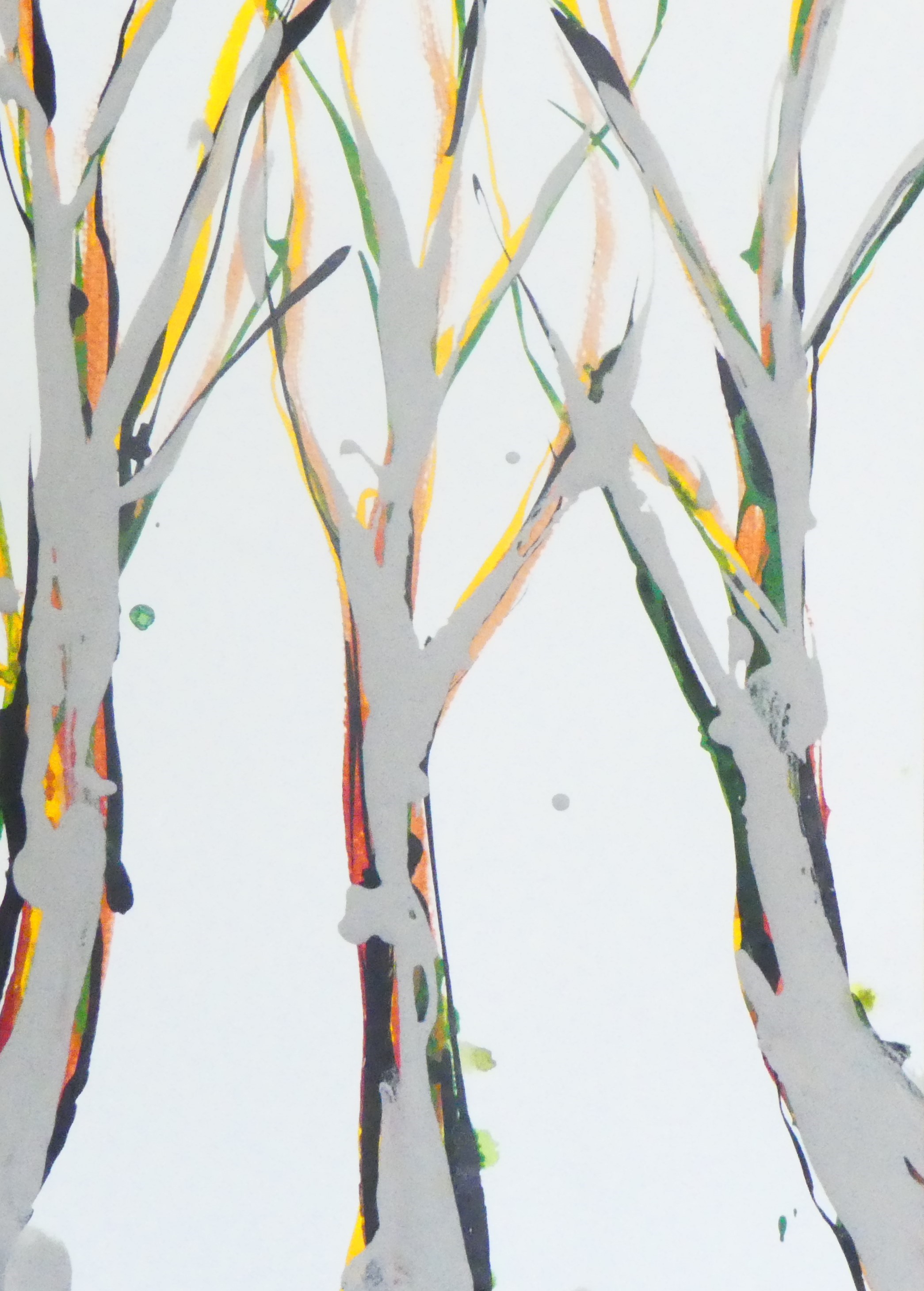 Silver Birch Trees II